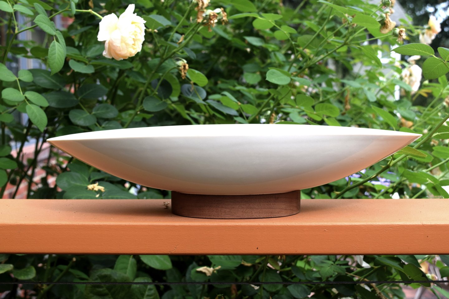 opening photo of michael lax design
